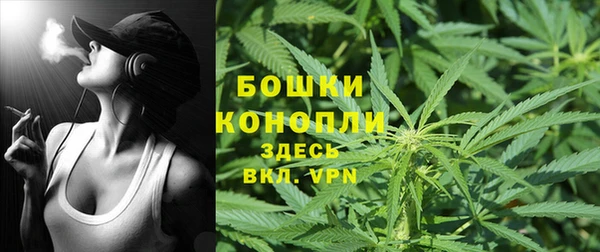 Альфа ПВП Мегион
